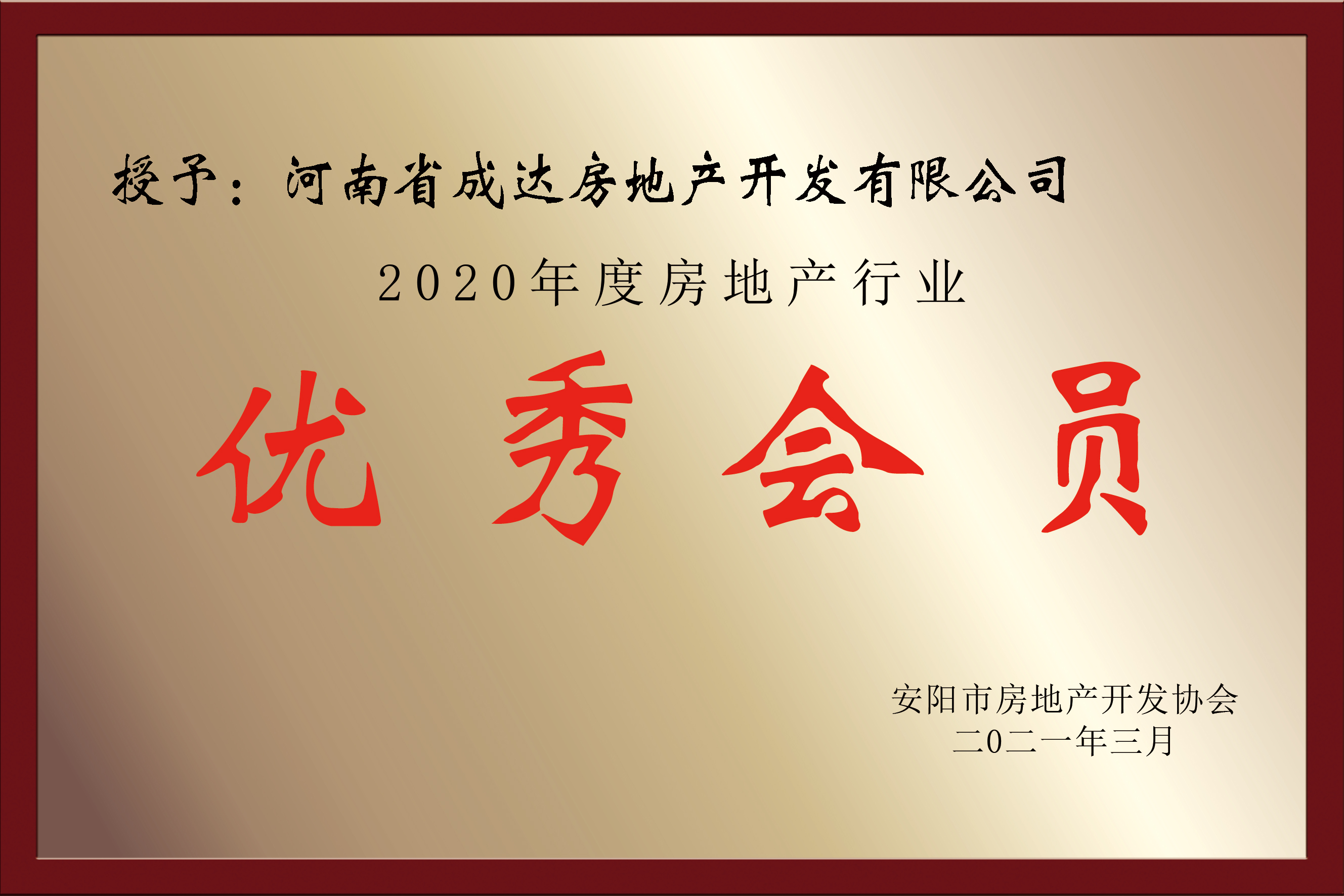2020年度房地產(chǎn)行業(yè) 優(yōu)秀會(huì)員